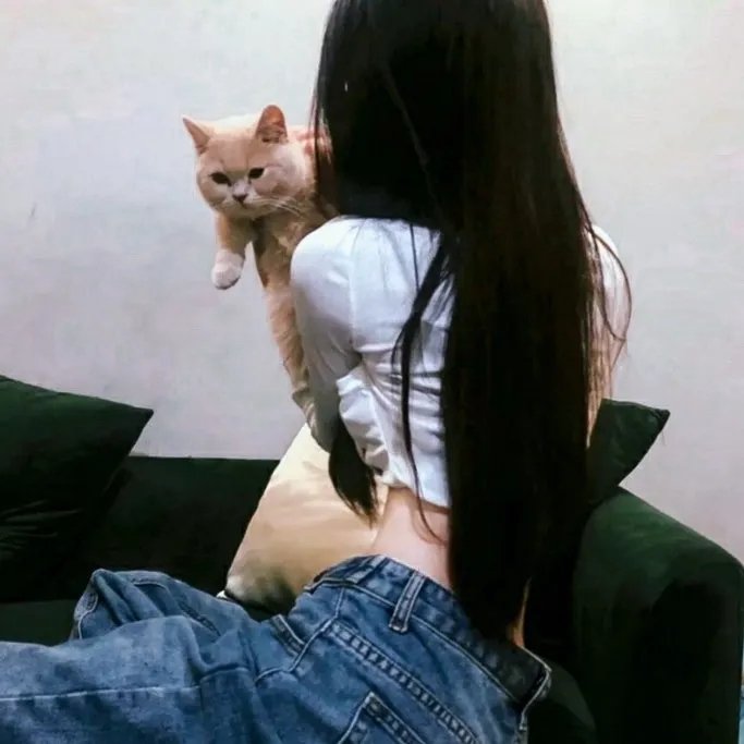他们第二季