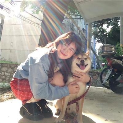 紫丁香